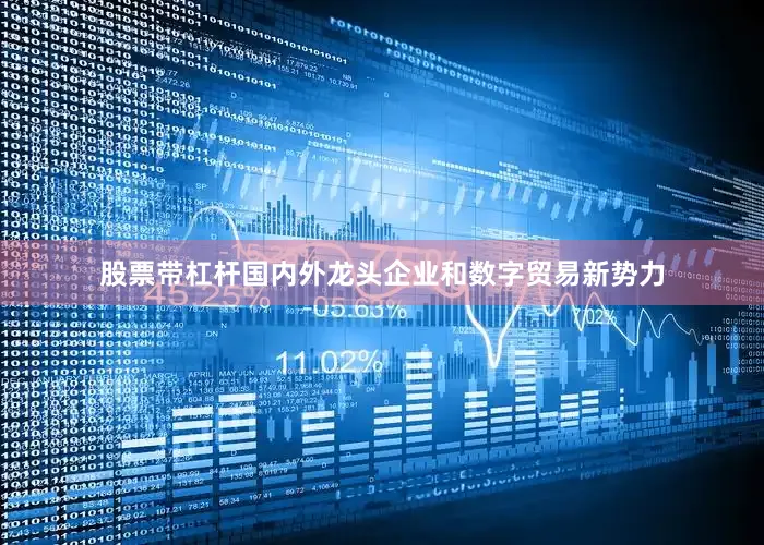 股票带杠杆国内外龙头企业和数字贸易新势力