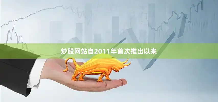 炒股网站自2011年首次推出以来