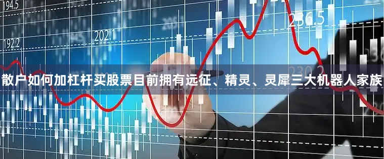 散户如何加杠杆买股票目前拥有远征、精灵、灵犀三大机器人家族