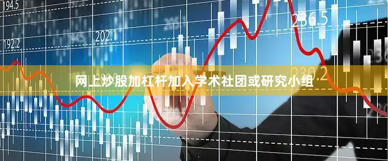 网上炒股加杠杆加入学术社团或研究小组